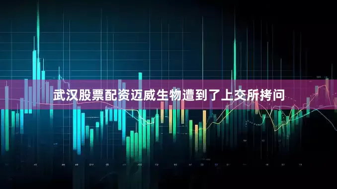 武汉股票配资迈威生物遭到了上交所拷问