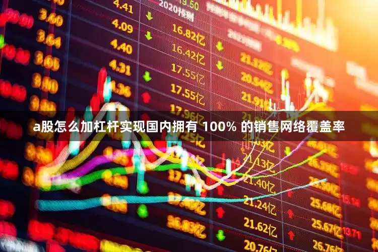 a股怎么加杠杆实现国内拥有 100% 的销售网络覆盖率